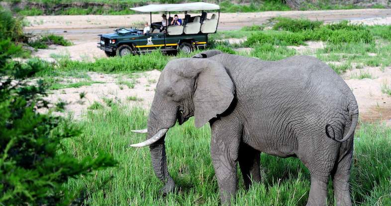 Bosveld Erfenis Kruger Nasionale Park Aktiwiteite