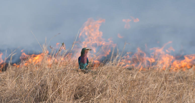 the-effects-of-climate-change-in-south-africa