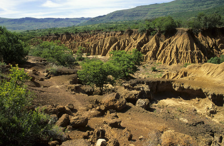 Climate Change In South Africa