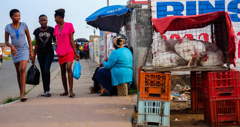 poultry-transportation-poultry-farming-in-south-africa