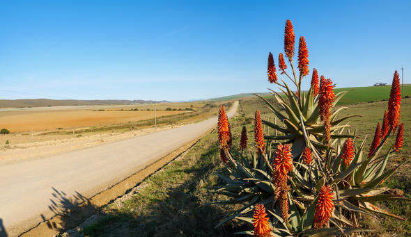 Malgas Western Cape South Africa