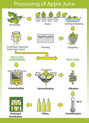 principles-of-juicing-food-processing-in-south-africa