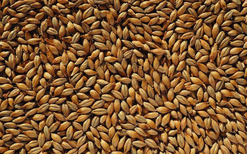 membership-of-south-african-grain-information-service-sagis