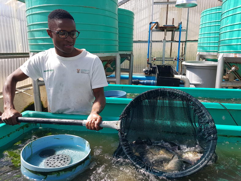 Freshwater Fish Farming in South Africa