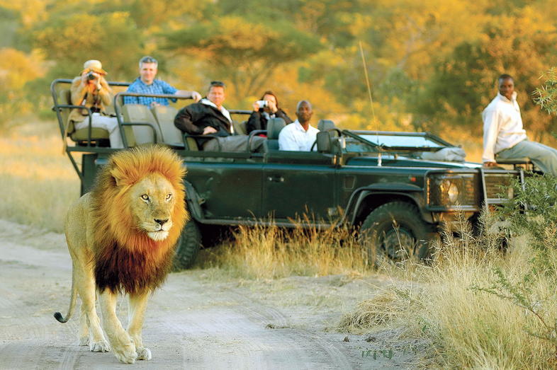 Ultimate Private Safari - Timbavati - Activities