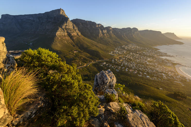 Cape Town's Ecology, Western Cape, South Africa