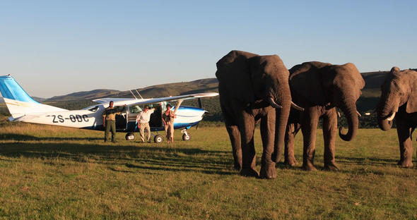 best-place-to-see-elephants-in-south-africa-addo-elephants-national