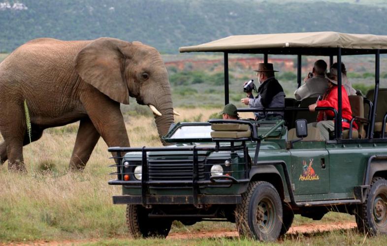 Safari Like no Other - Amakhala Game Reserve - Activities