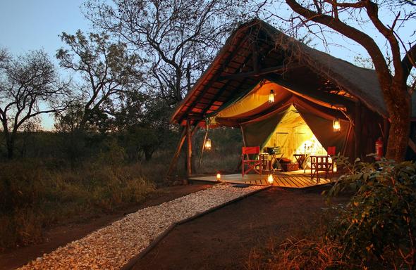 Authentic Safari Experience - Thornybush