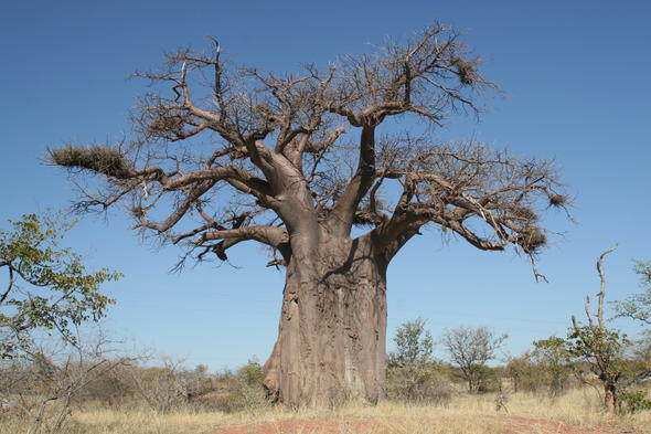 Natural Wonders Of Limpopo - Bushveld Igneous Complex