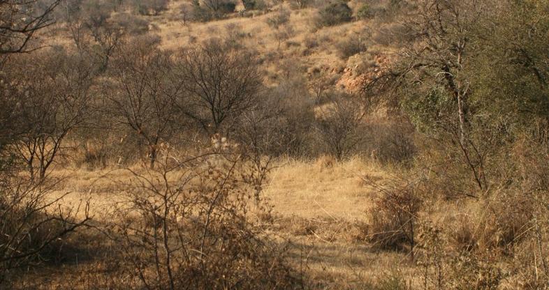 The Bushveld Complex and the Vredefort Dome