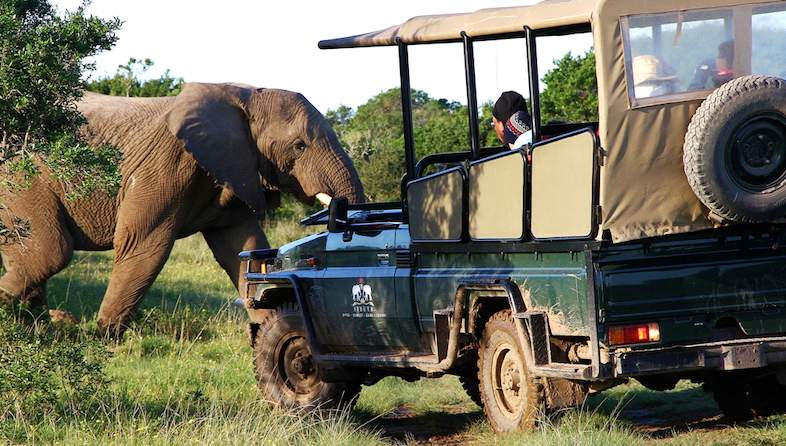 Activities - Unique South African Safari - Sibuya Game Reserve