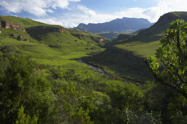 Giant's Castle Valley, KwaZulu-Natal, South Africa