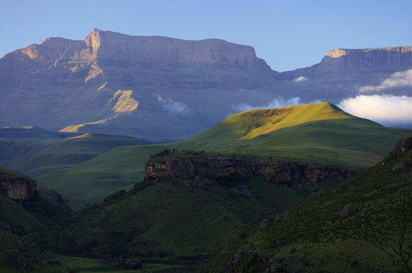 Vegetation of the Drakensberg, KwaZulu-Natal, South Africa