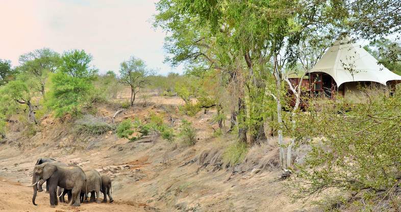 Out Of Africa Kruger National Park Your Stay 7757