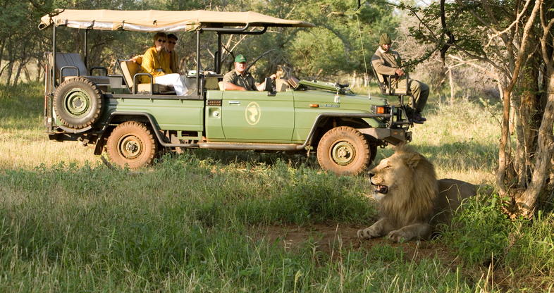 Unforgettable Safari Experience - Madikwe - Activities