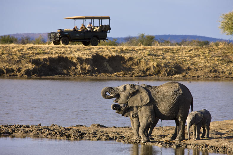 wildlife tourism south africa