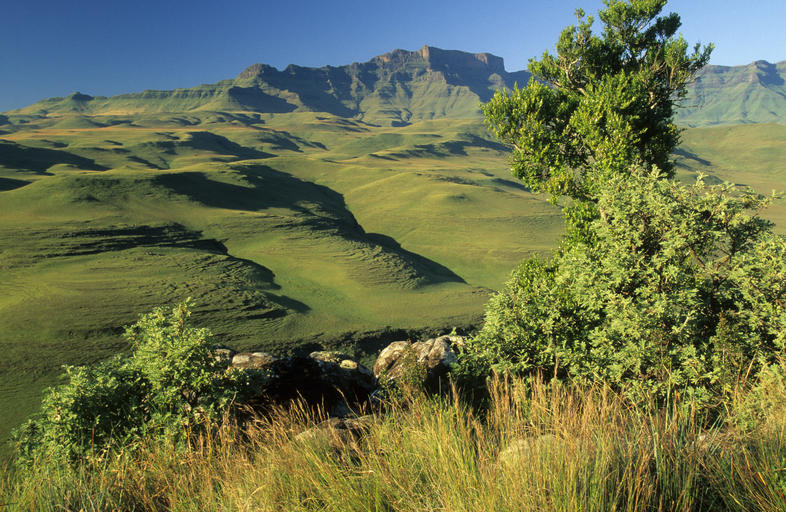 Drakensberg: UNESCO World Heritage Site