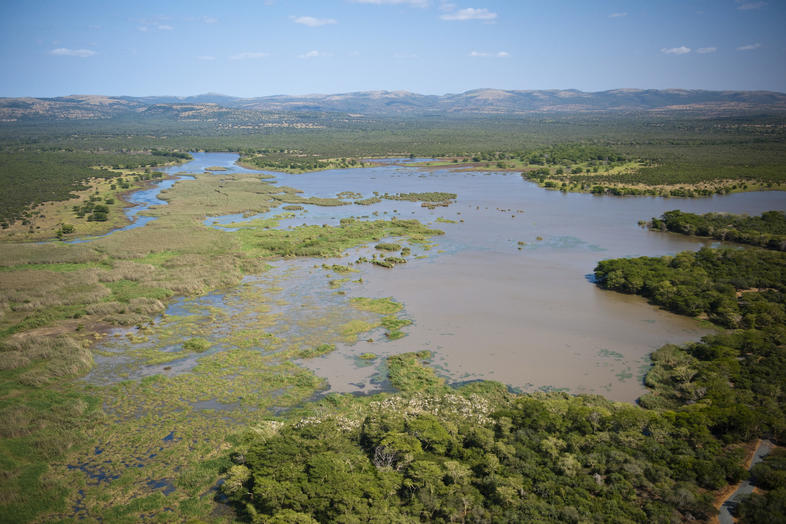 Mkhuze Game Reserve Birding, KwaZulu-Natal, South Africa