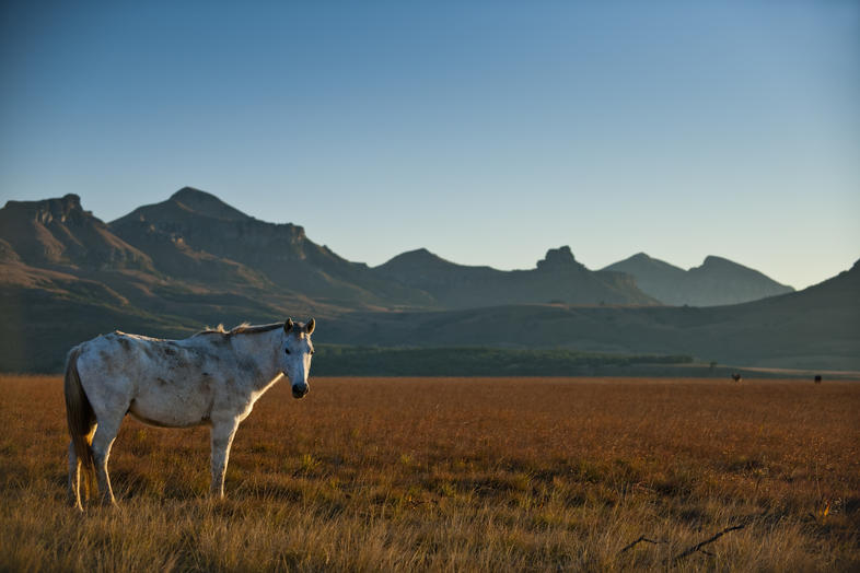 History of Harrismith, Free State, South Africa