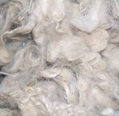 Services of Mohair South Africa