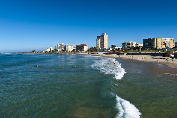 Port Elizabeth: Underrated Holiday Destination, Eastern Cape