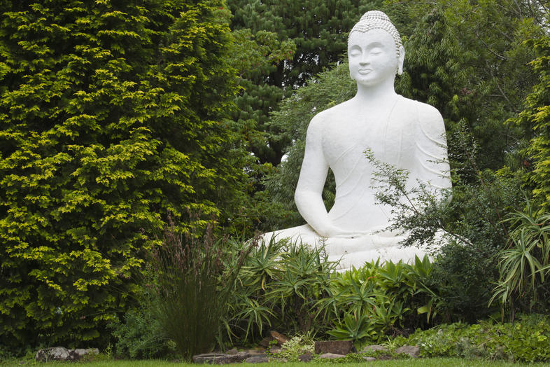 Buddha retreat deals