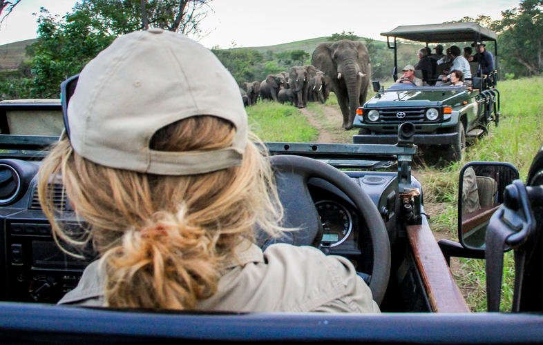 Experience Tranquillity - Thula Thula Private Game Reserve - Activities