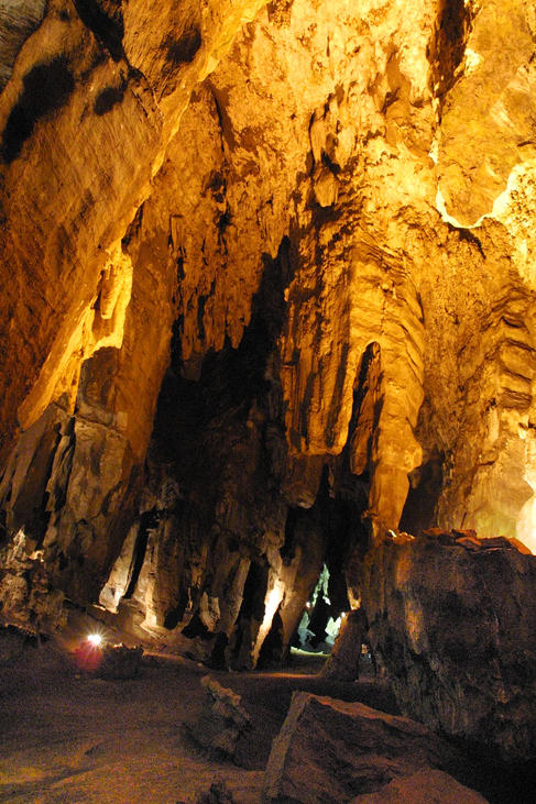 Cave Formation in the Cradle of Humankind