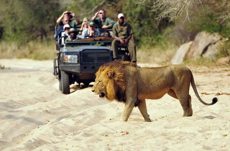 Celebrate African Style - Sabi Sands - Activities