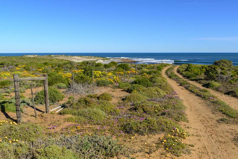 Explore the Northern Cape, South Africa