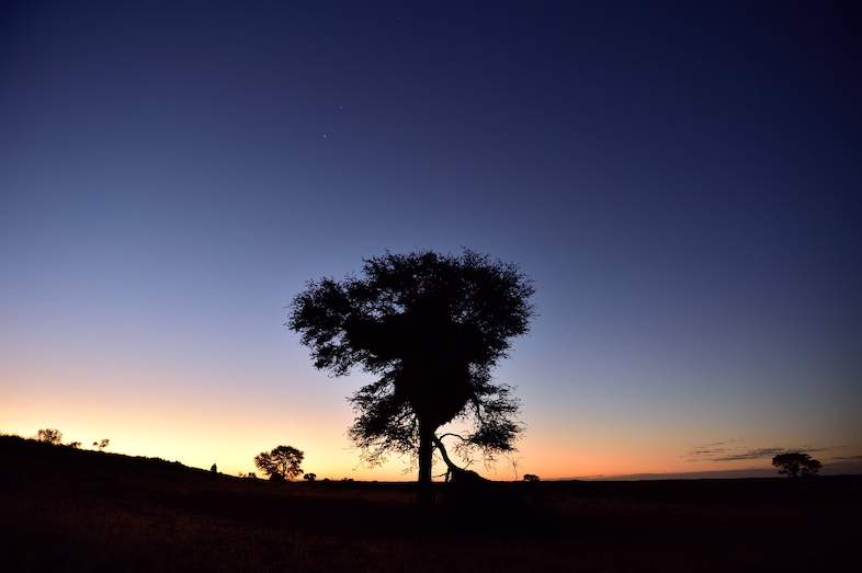 Barkly West - Northern Cape, South Africa