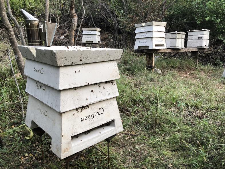 Beehives for New Bee Farmers Beekeeping In South Africa