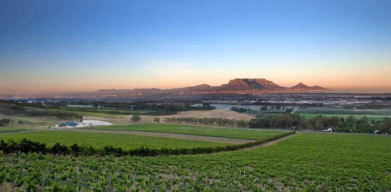 De Grendel Wine Estate, South Africa