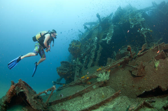 Aliwal Shoal Dive Spots in Umkomaas, KwaZulu-Natal, South Africa