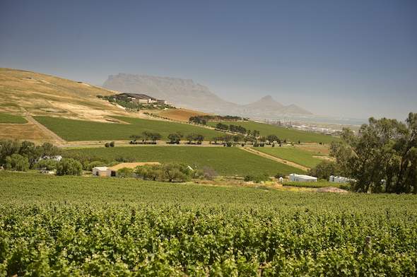 Durbanville Hills - Durbanville Wine Estate - Cape Winelands in Style