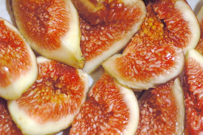 About Figs Fruit Farming in South Africa