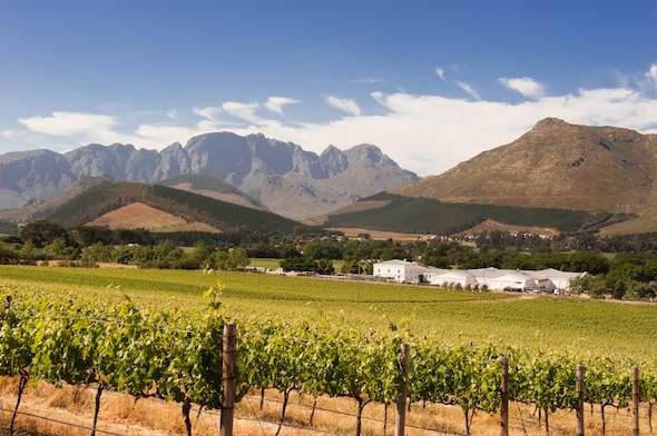 Winelands of Franschhoek - Cape Winelands in Style