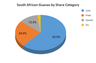 Guava Production, South Africa