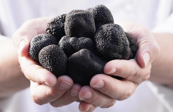 handful-truffles-woodford-truffles-590x381.jpg