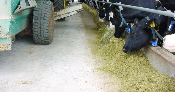 Basic Principles of Dairy Farming - South Africa