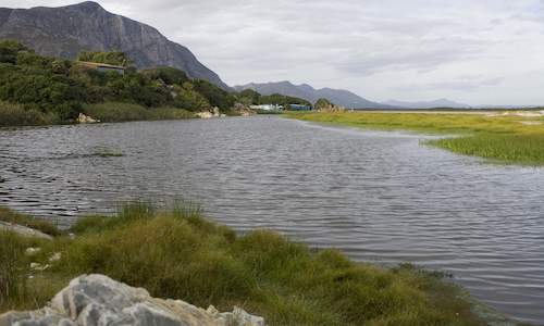 Walker Bay Nature Reserve, Western Cape, South Africa