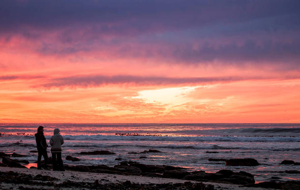 Elands Bay Attractions - South Africa Towns