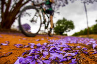 Magoebaskloof sales mtb classic