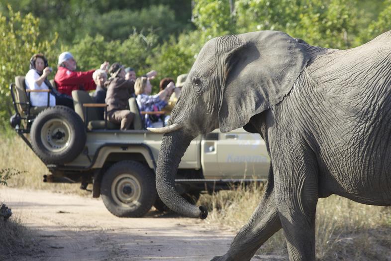 Traditional Safari Style - Kapama - Activities