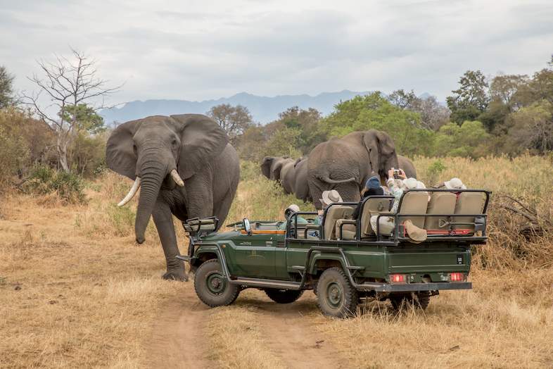 Shiduli Private Game Lodge - Karongwe Activities