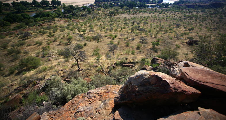 Mapungubwe Complex - South Africa