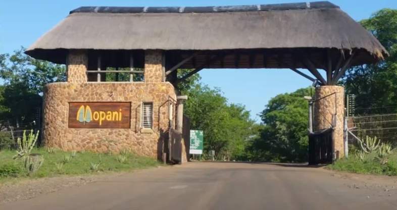 Mopani Rest Camp in Kruger Park - Self-catering Accommodation