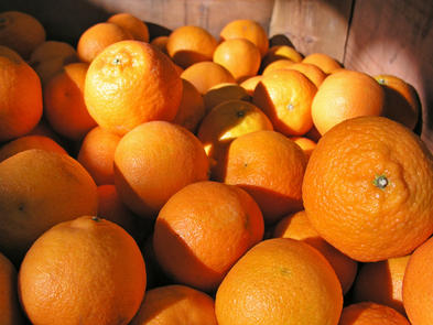 Soft Citrus Varieties in South Africa