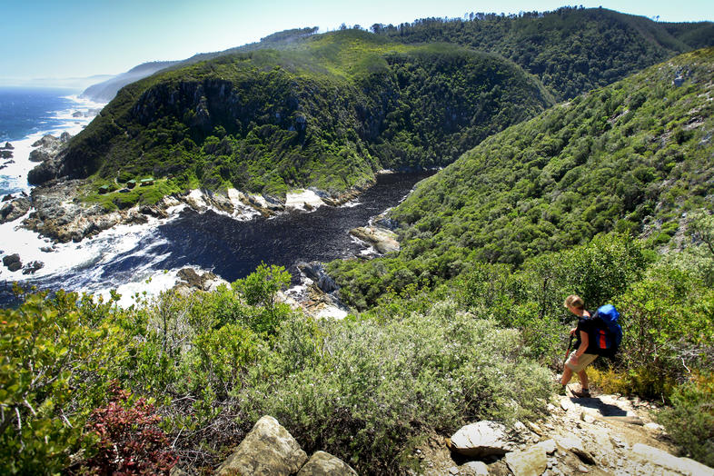 Tsitsikamma National Park, Eastern Cape